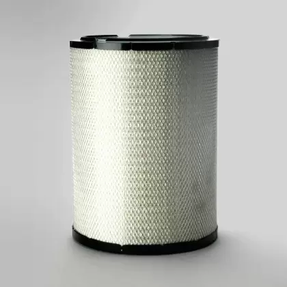 Air filter Donaldson P781398 for CASE 426020A1