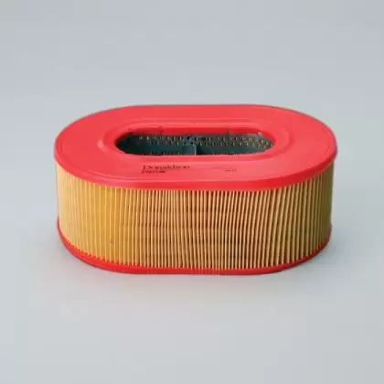 Air filter Donaldson P781746 for CATERPILLAR 1G7197